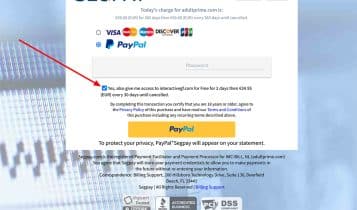 Easy payment with PayPal